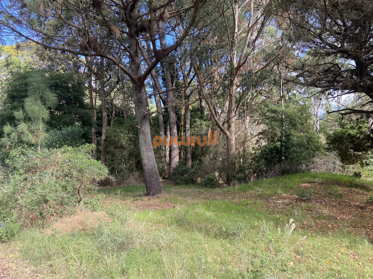 Terreno en Portezuelo Bosque