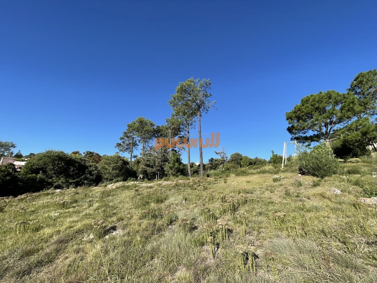 Terreno en Punta Ballena, Lomo de la Ballena