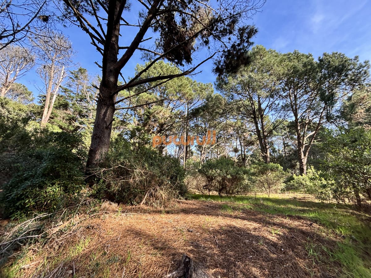 Terreno en Punta Ballena, Club del Lago