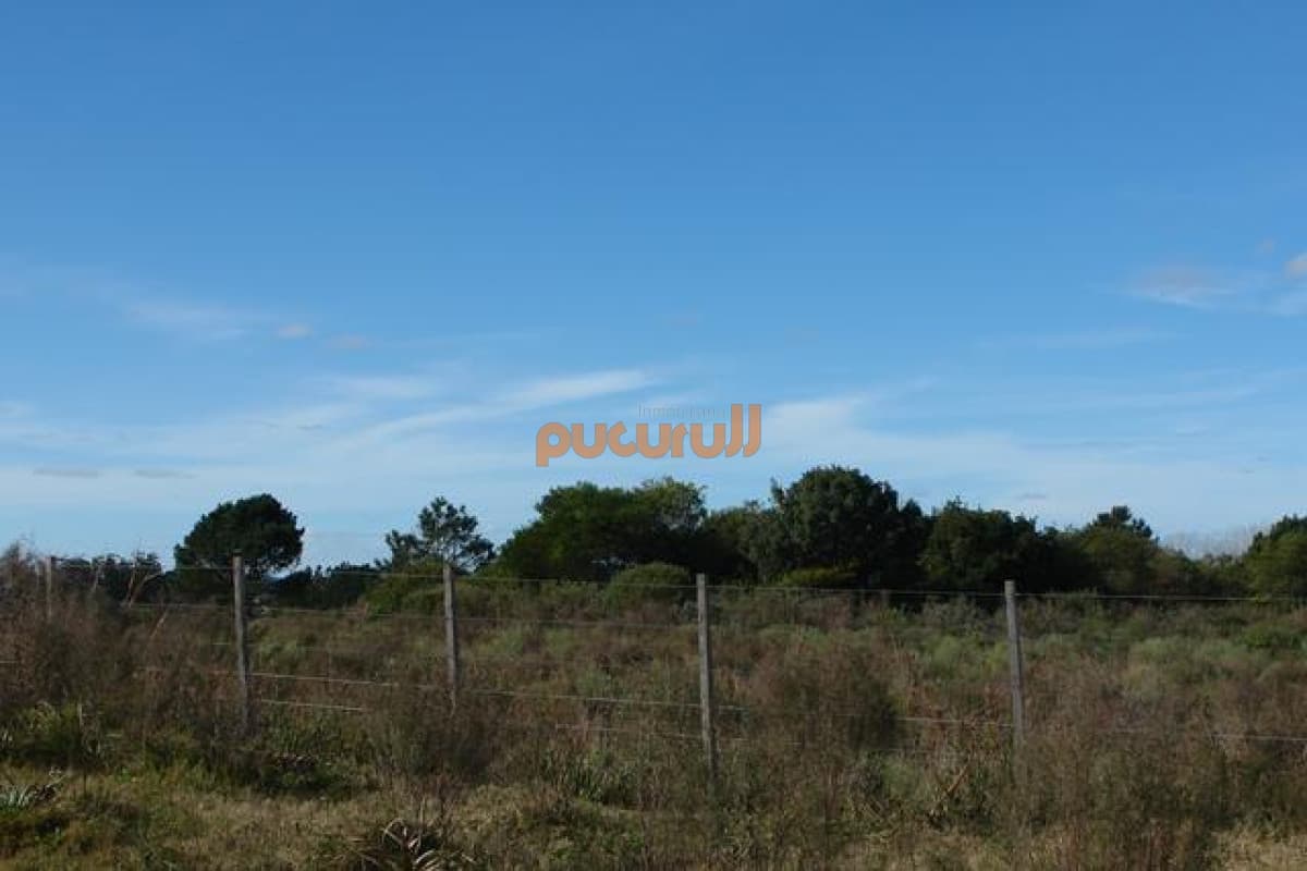 Terreno en Punta Ballena, El Pejerrey