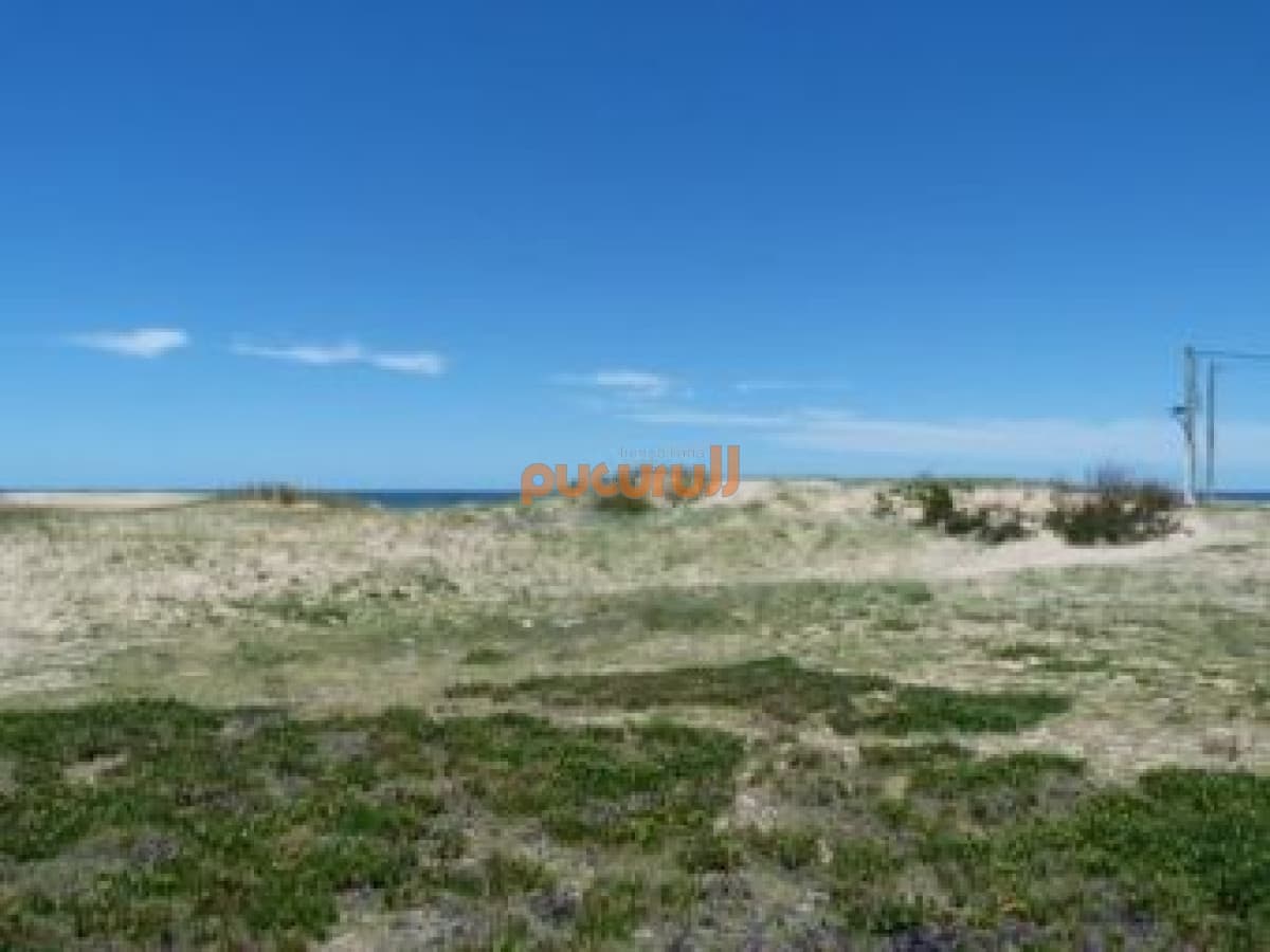 Terreno en Punta Ballena, Chihuahua