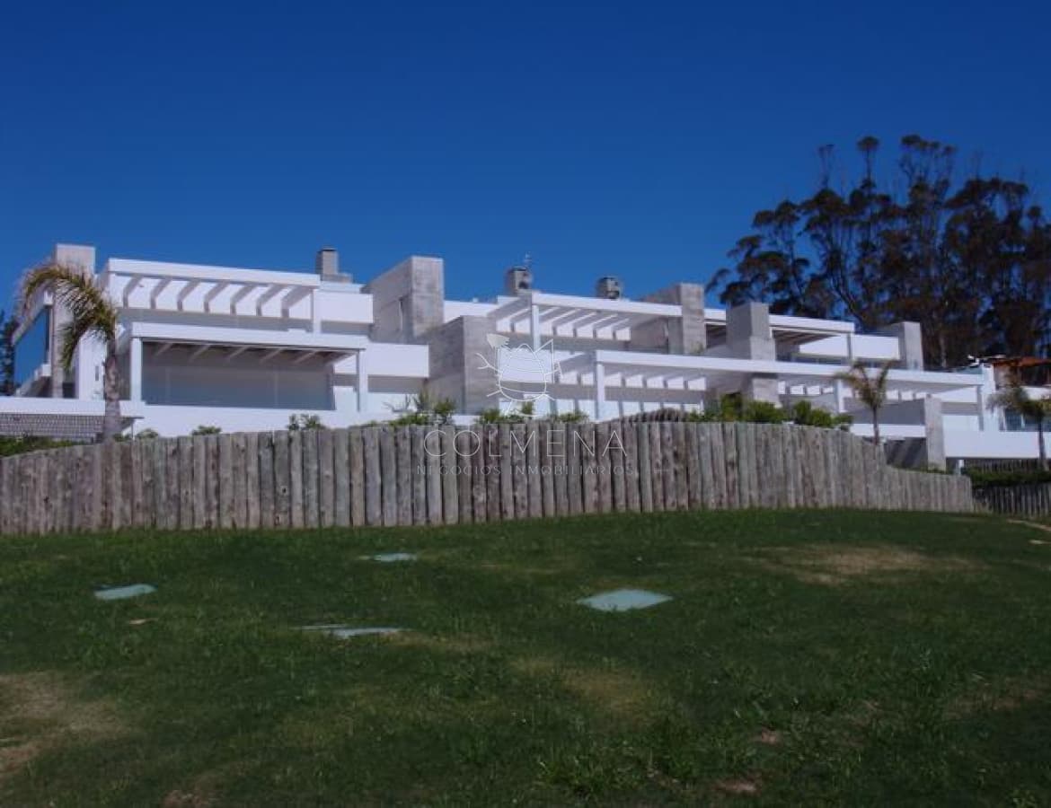 Punta ballena