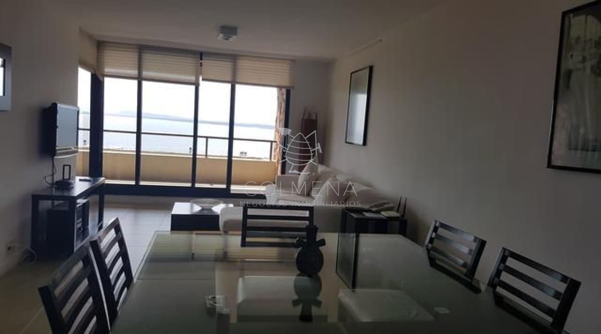 Punta ballena