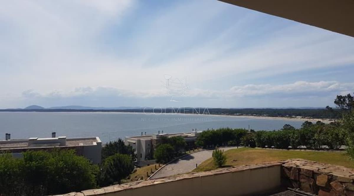Punta ballena