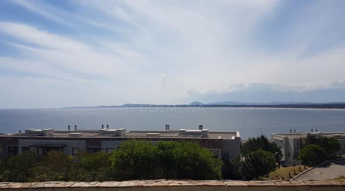 Punta ballena
