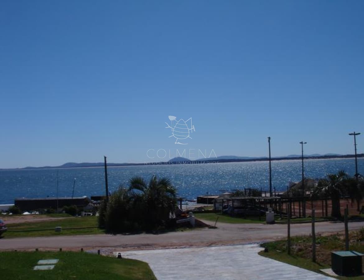 Punta ballena