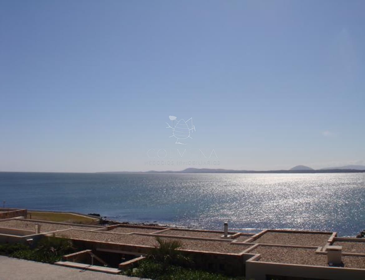 Punta Ballena