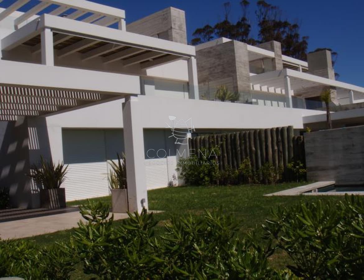 Punta ballena