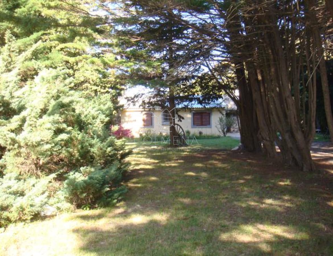 Camino Lussich, Punta Ballena