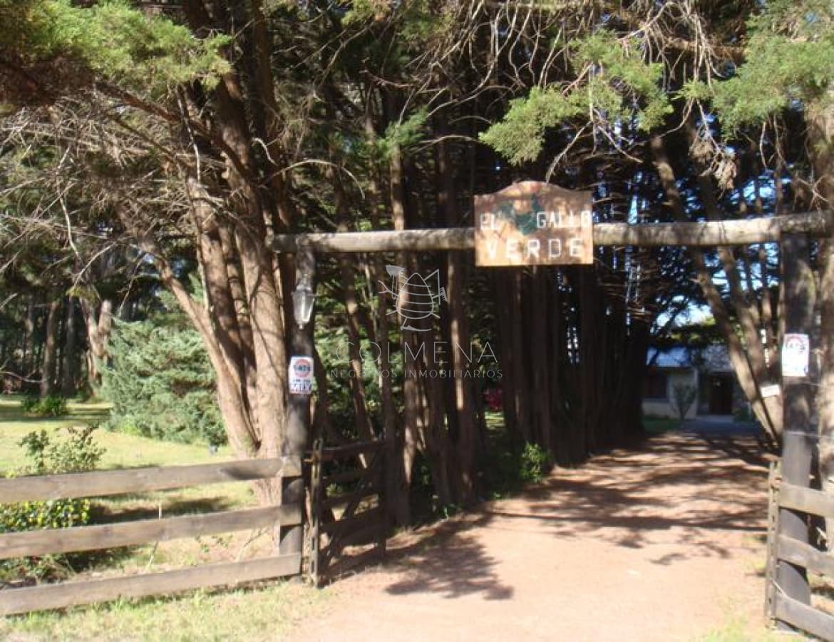 Camino Lussich, Punta Ballena