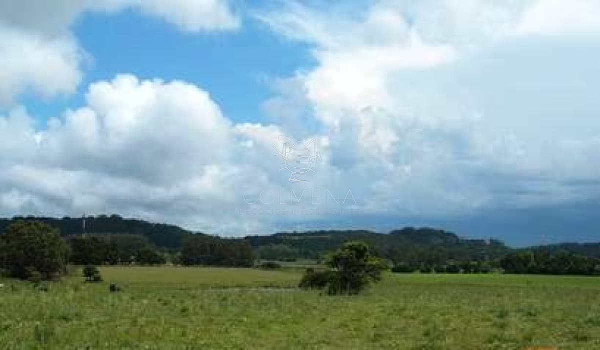 Pegado a la Pataia