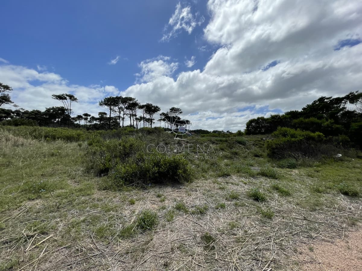 Oportunidad en Chihuahua terreno 1050 m2