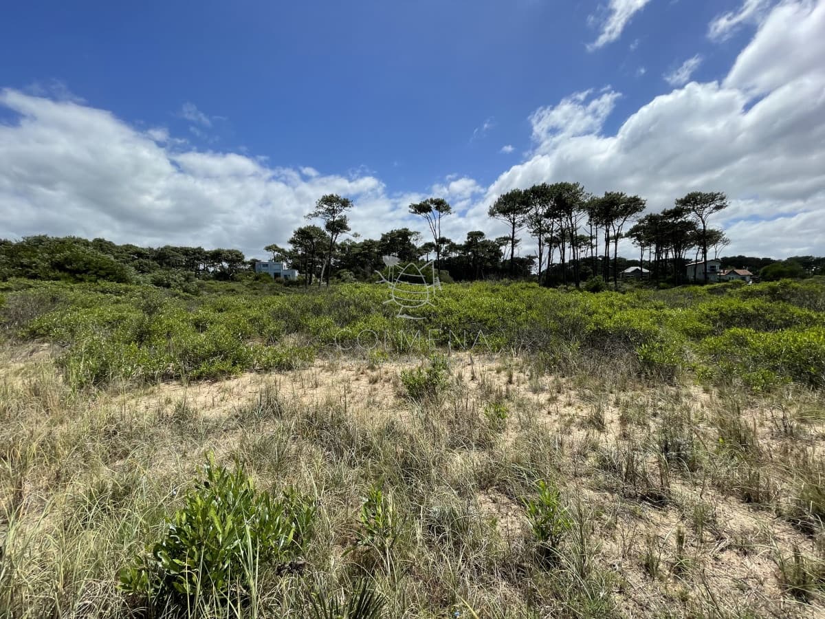 Oportunidad en Chihuahua terreno 1055 m2 a 100 metros de la playa