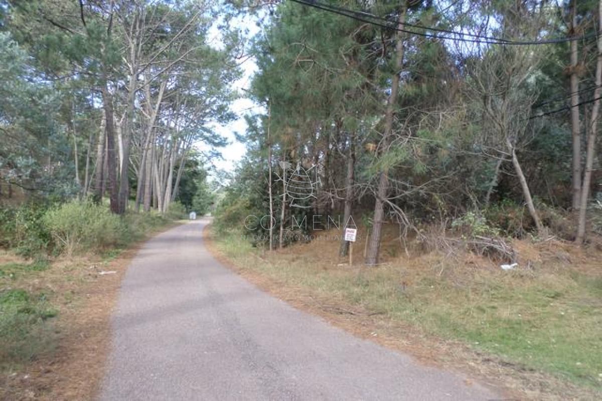Terreno en Oeste