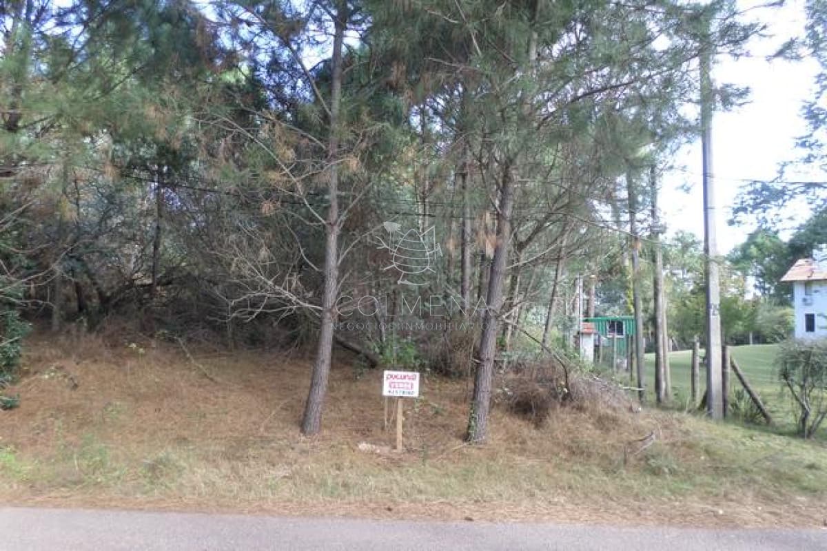 Terreno en Oeste