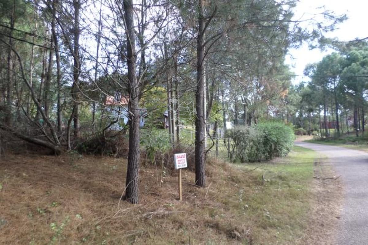 Terreno en Oeste