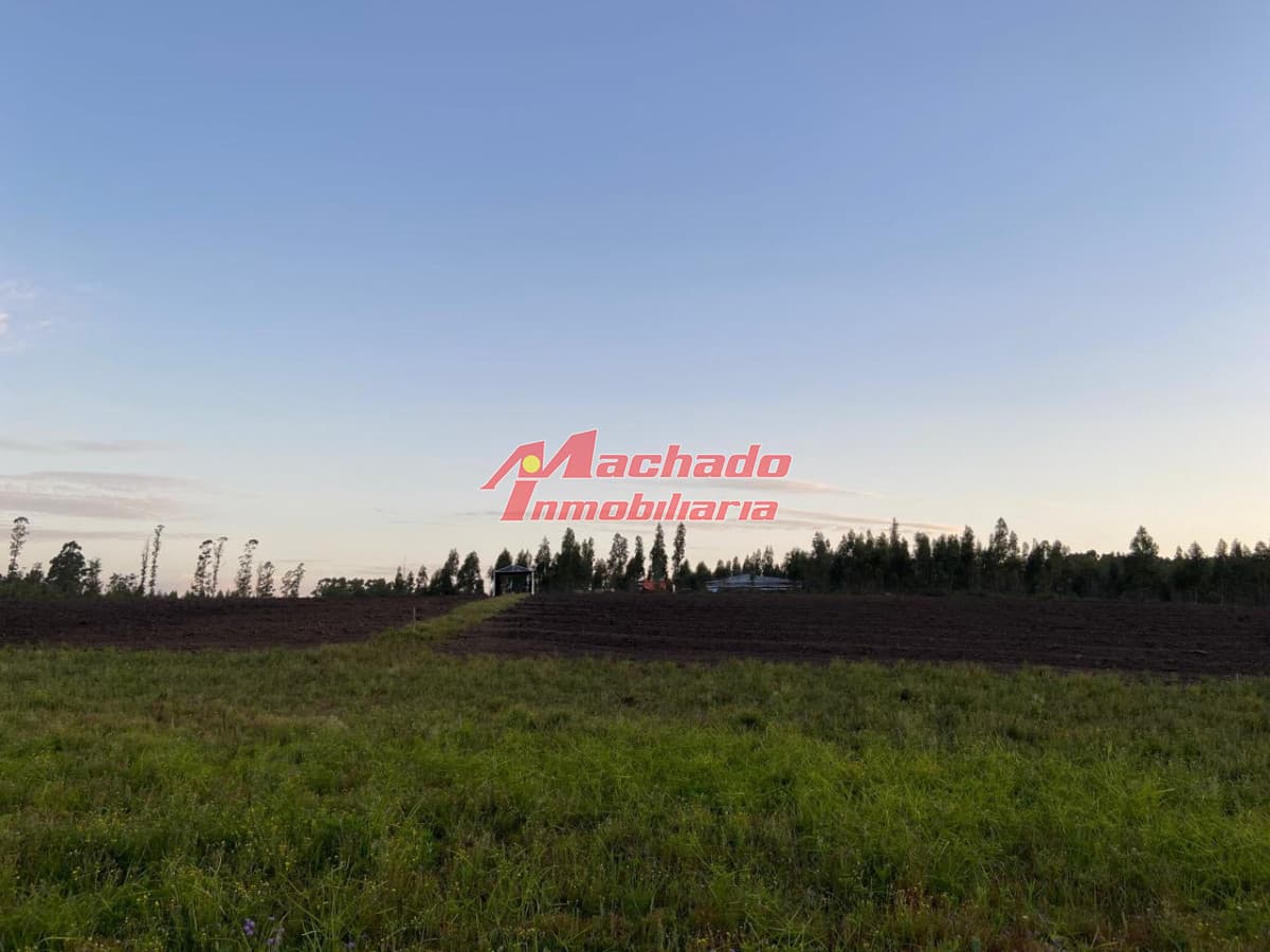 Chacra en venta a 3km del Hotel Fasano