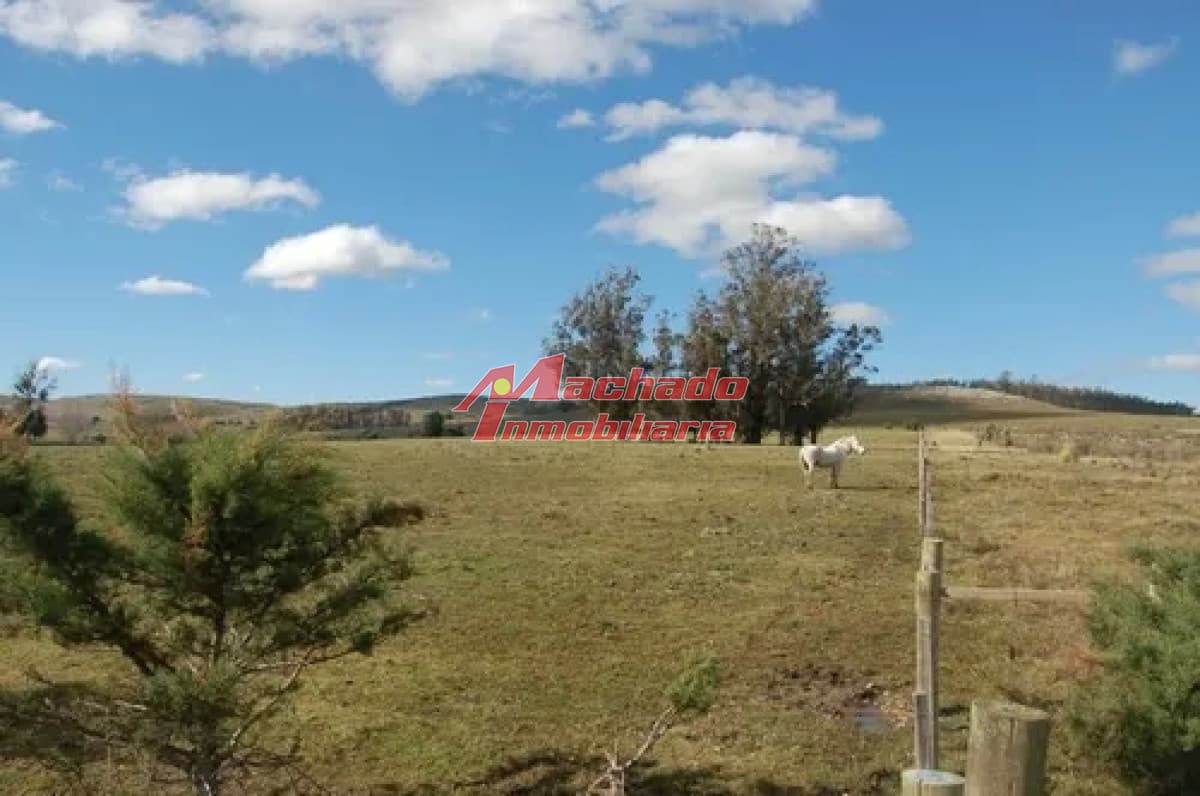 VENTA DE CHACRA EN ABRA DE PERDOMO