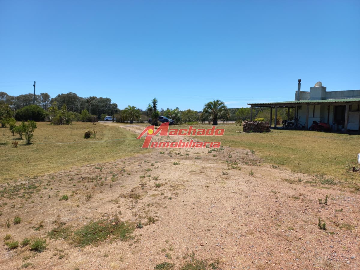 Chacra de 6 hectáreas en venta