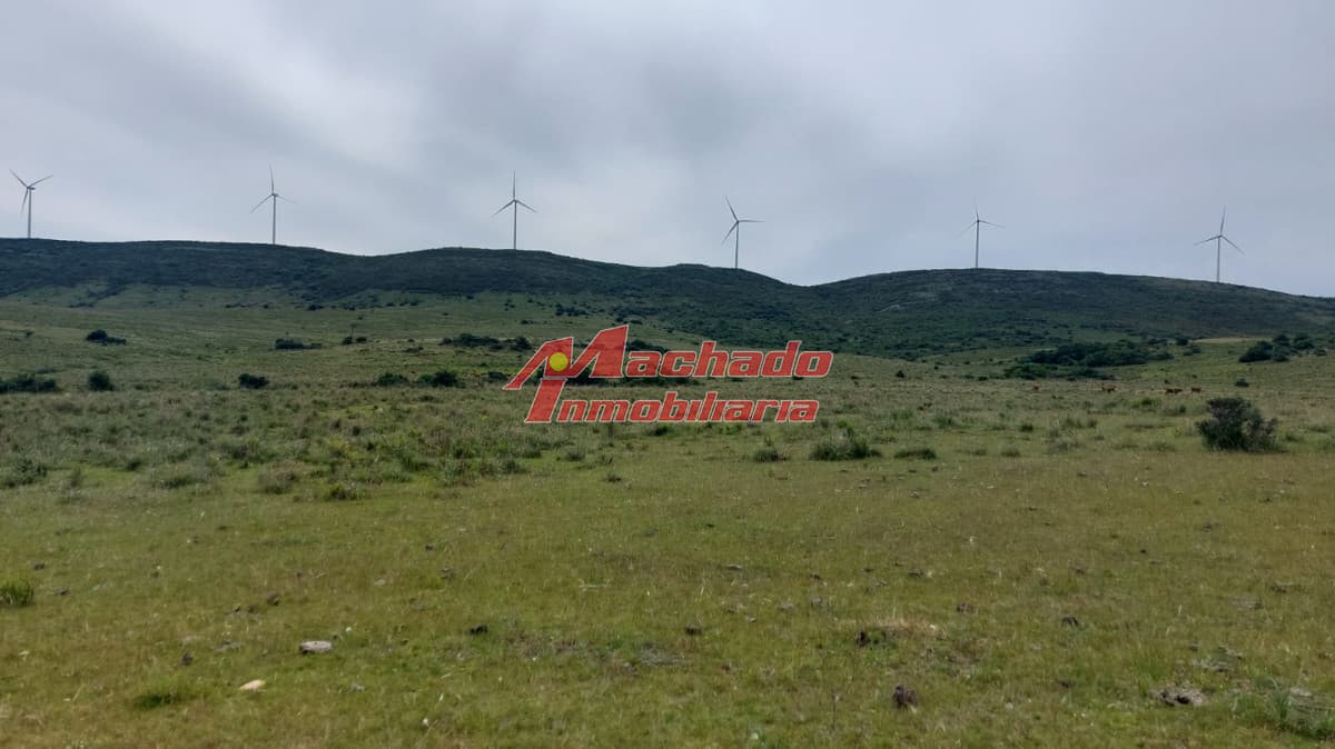 Venta de chacra de 5 hectáreas en Ruta 39