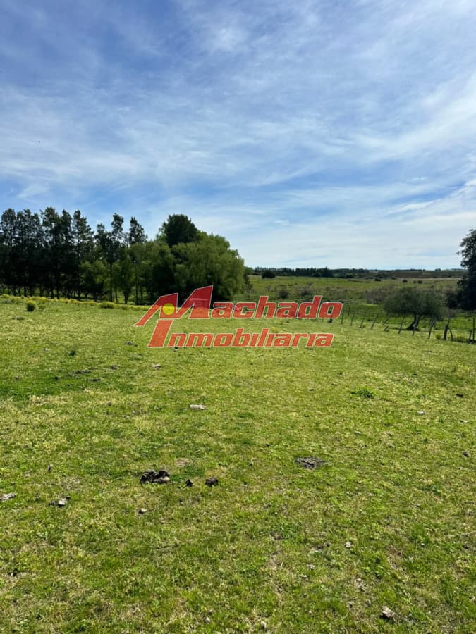 Chacra en venta San Carlos