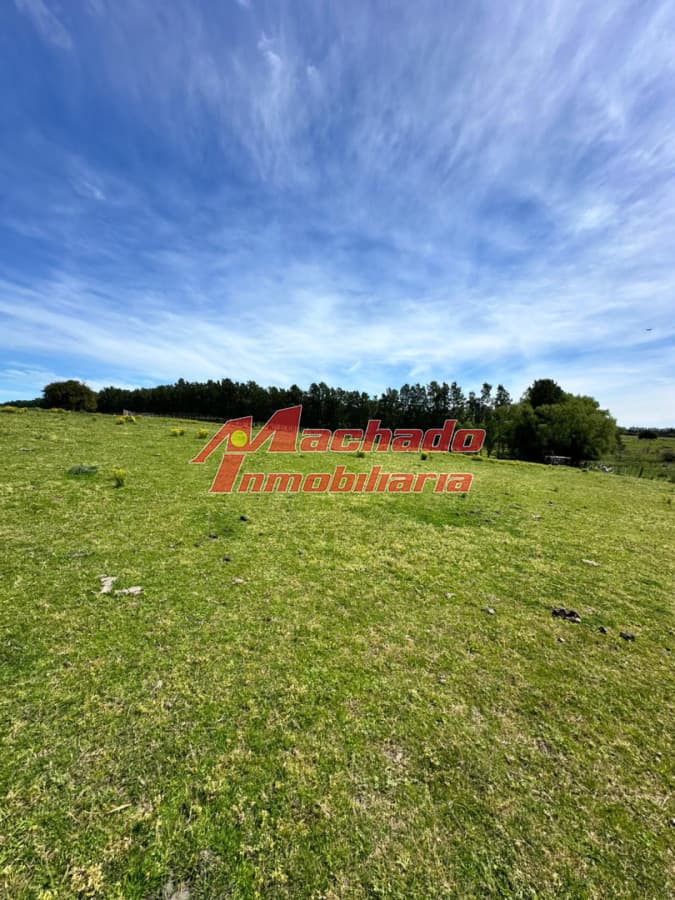 Chacra en venta San Carlos