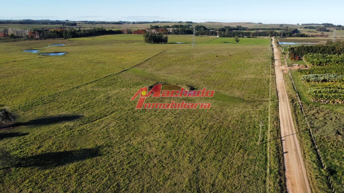 venta de chacra sobre ruta 104