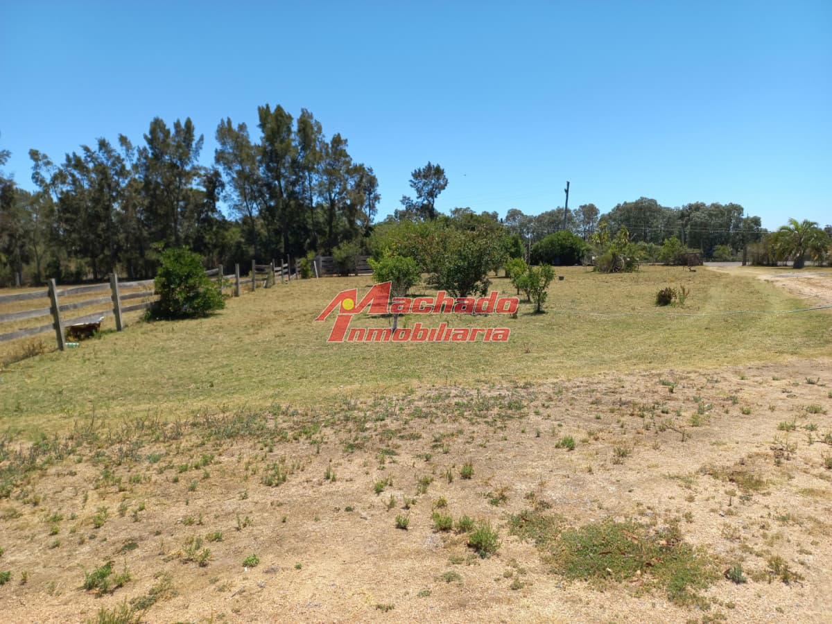 Chacra de 6 hectáreas en venta