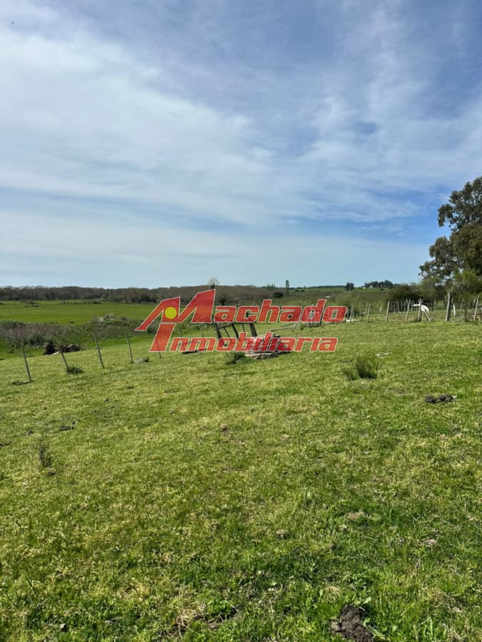 Chacra en venta San Carlos