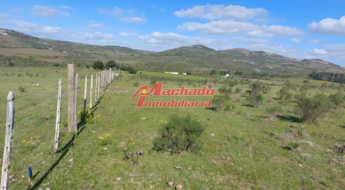 Venta de chacra de 5 hectáreas en Ruta 39