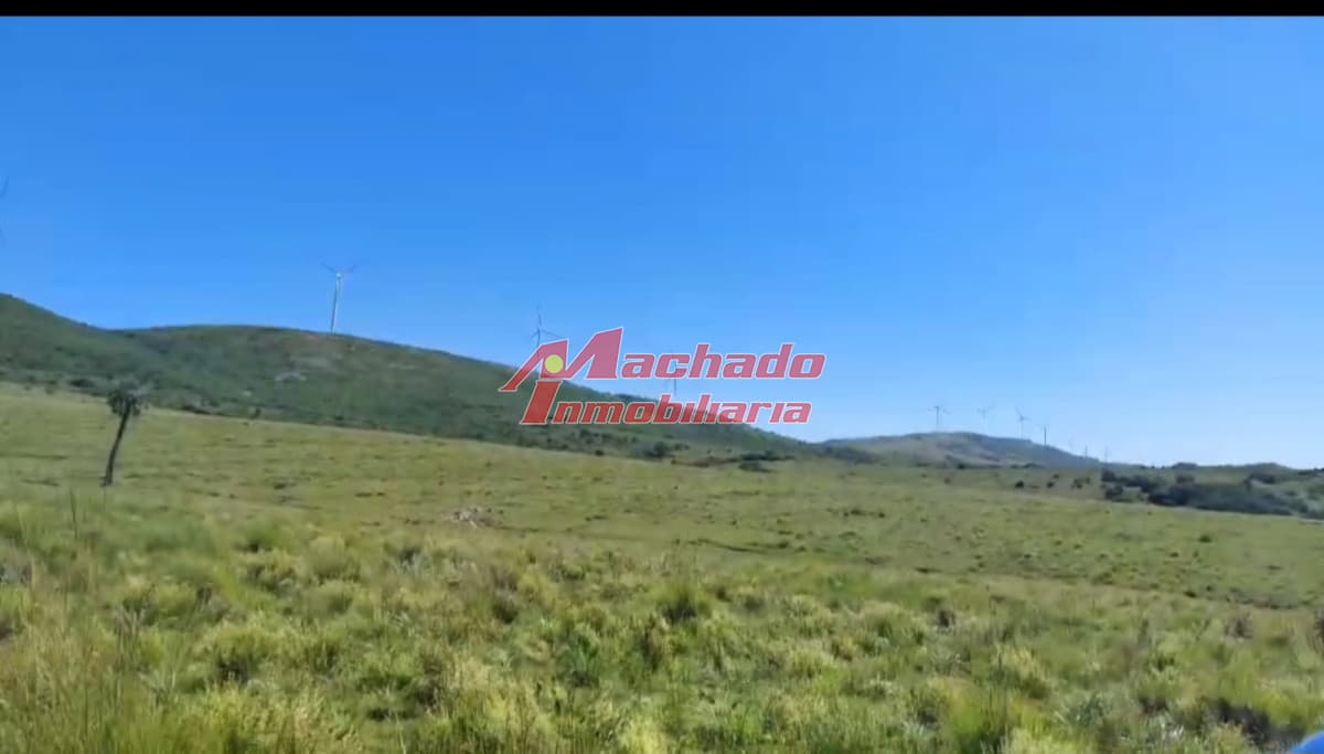 Venta de Chacra de 6 hectáreas en Ruta 39