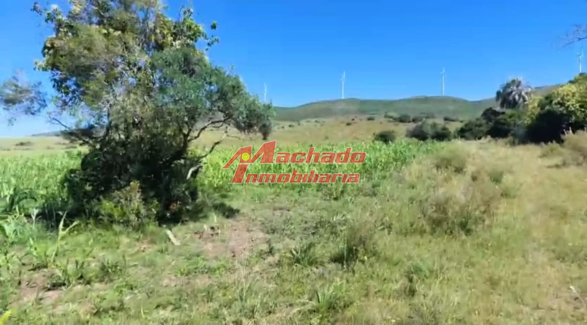 Venta de Chacra de 6 hectáreas en Ruta 39