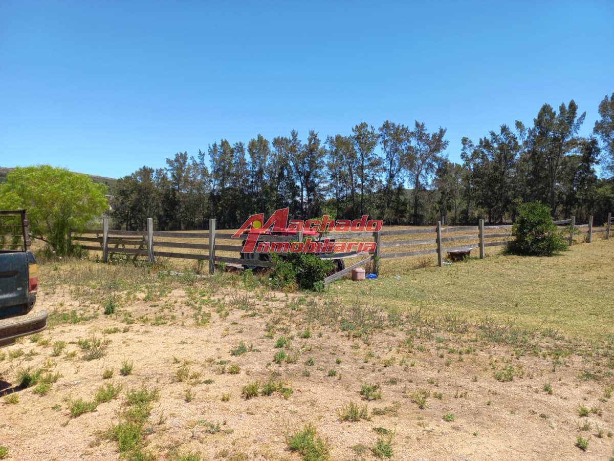 Chacra de 6 hectáreas en venta