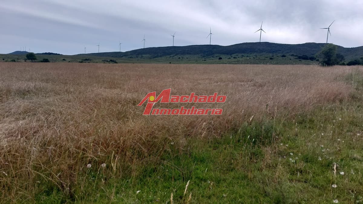 Venta de chacra de 5 hectáreas en Ruta 39