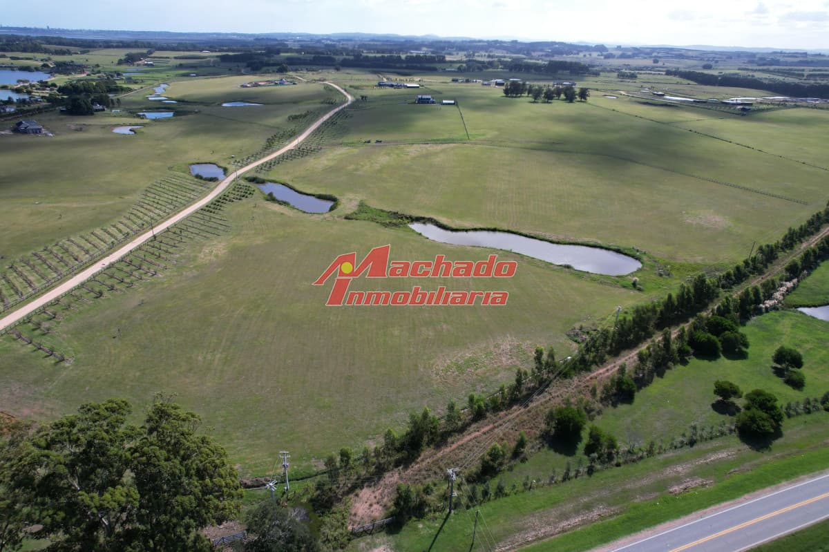 Venta de Chacra Ruta 104
