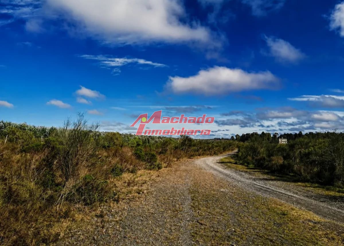Salus Valle De Fortaleza | Campo Híbrido Estratégico Con Potencial Forestal, Turístico Y Ganadero