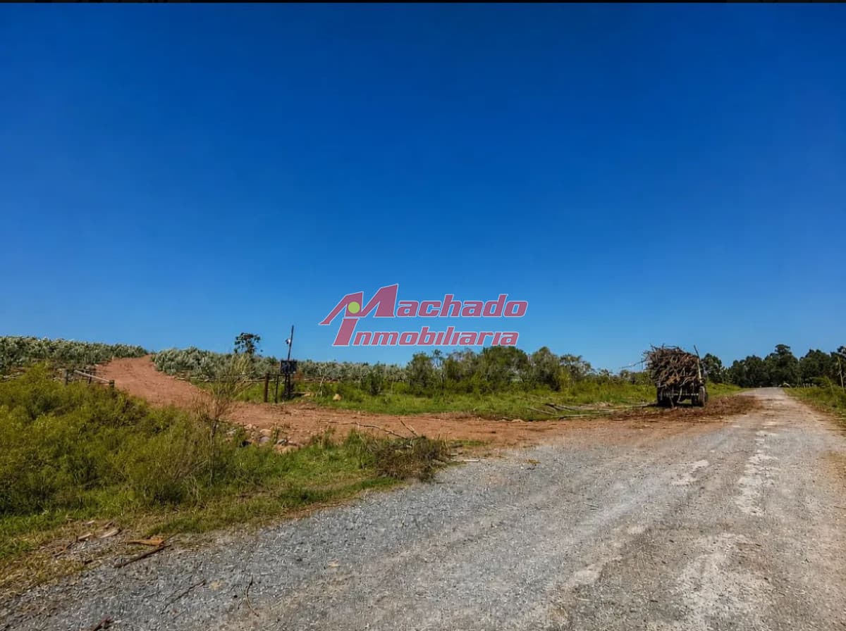 Salus Valle De Fortaleza | Campo Híbrido Estratégico Con Potencial Forestal, Turístico Y Ganadero