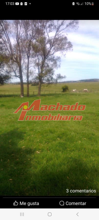 campo de 30 Hectareas, sobre ruta 9, cerca de Punta del este