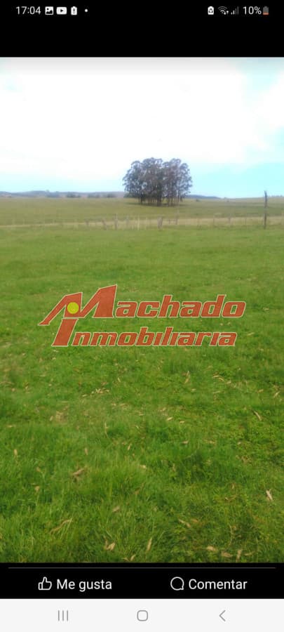 campo de 30 Hectareas, sobre ruta 9, cerca de Punta del este