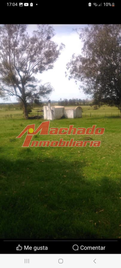 campo de 30 Hectareas, sobre ruta 9, cerca de Punta del este