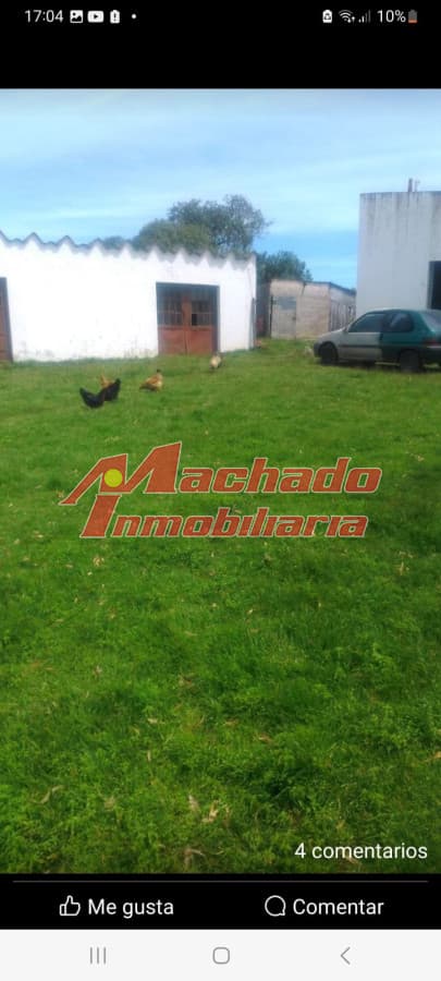 campo de 30 Hectareas, sobre ruta 9, cerca de Punta del este