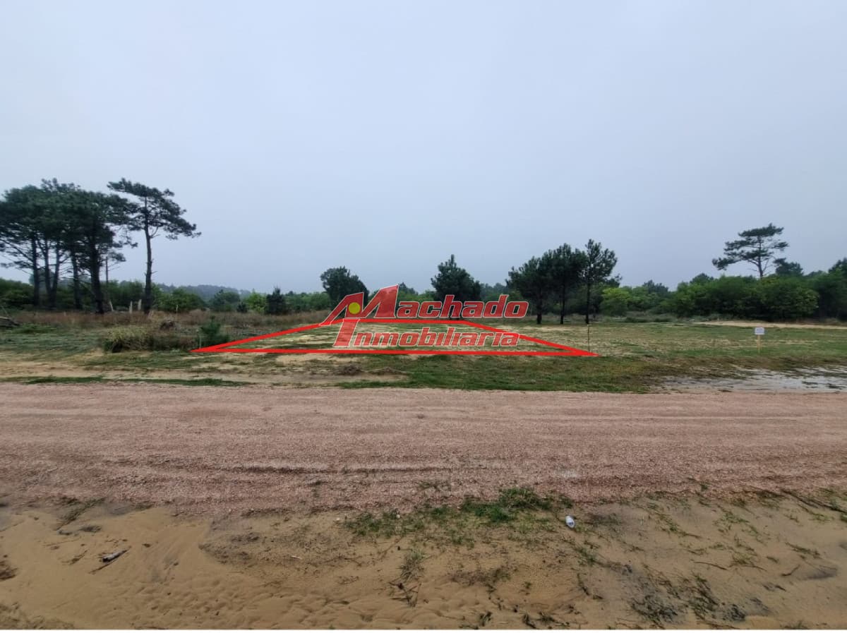 zona muy tranquila y cerca de todos los servicios
