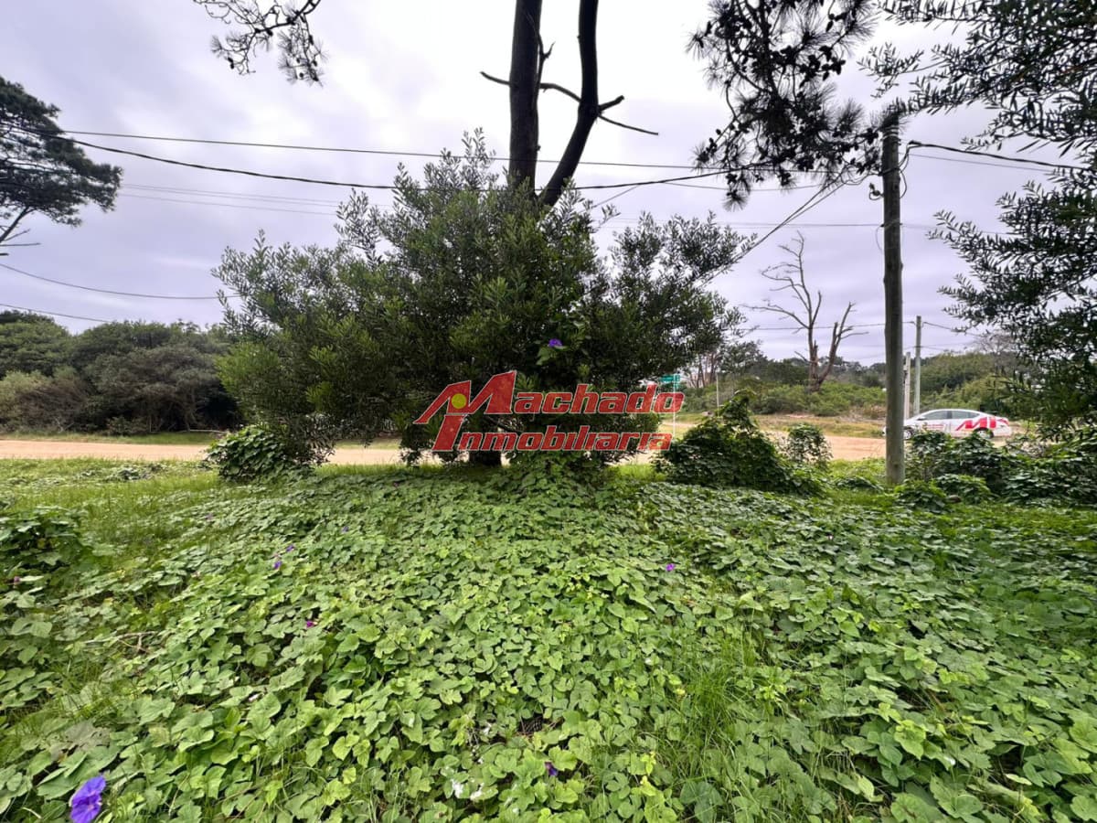 Oportunidad - Terreno a la venta en Manantiales