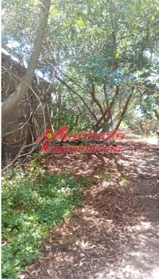 Terreno en Mirador Acres en la Barra