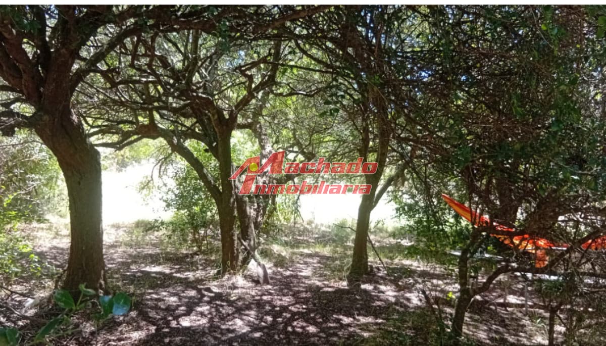 Terreno en Mirador Acres en la Barra