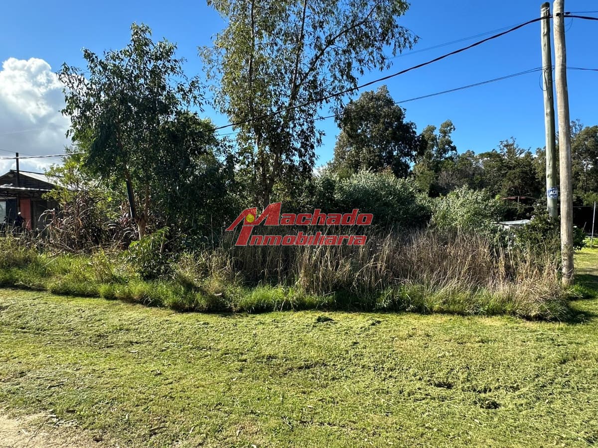 Terreno en VENTA, Sauce de Portezuelo, Maldonado.