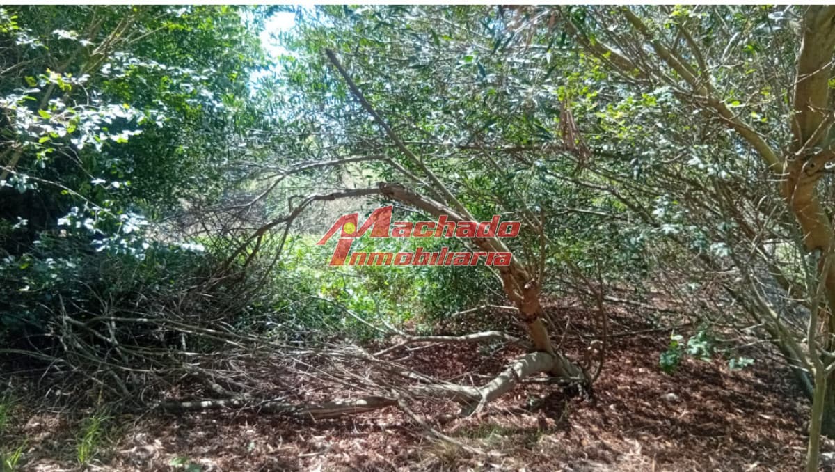 Terreno en Mirador Acres en la Barra