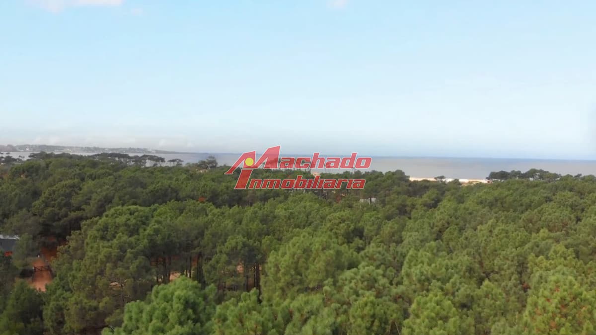 Venta De Terreno En Chihuahua, Punta Ballena