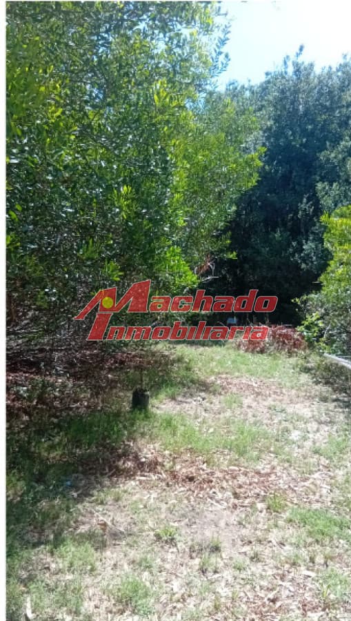Terreno en Mirador Acres en la Barra