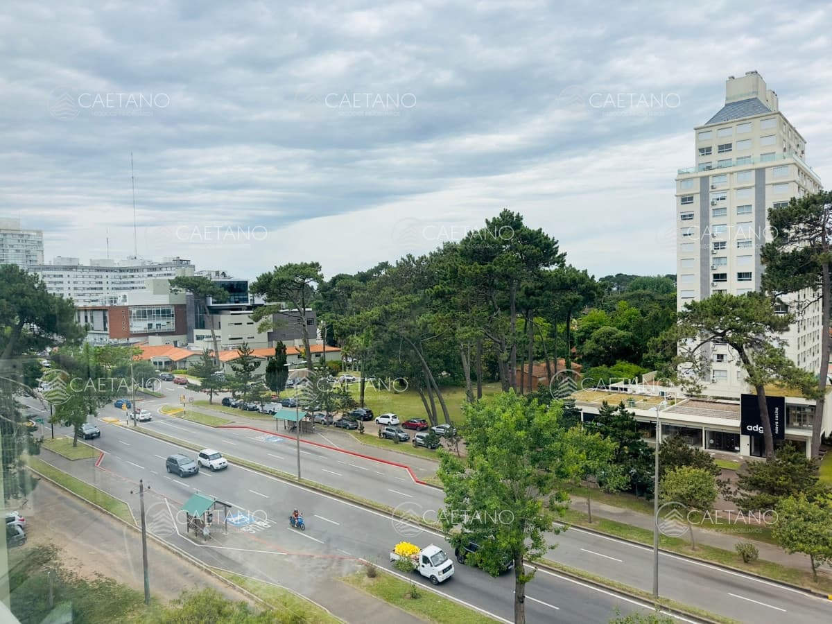 Alquiler de Temporada en Punta del este.